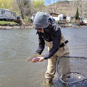 Meet your Posher, Bailey